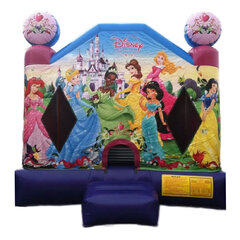 Disney Princess Castle