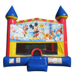 Mickey Mouse Castle